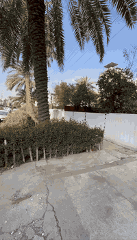 بيت للإيجار في المنصور – حي المهندسين
مساحة 500 متر مربع
يحتوي على:
 • 5 غرف نوم
 • صالة واسعة
 • مطبخ
 • صحيات
 • جراج يتسع لـ 4 سيارات
 • حديقة كبيرة

الإيجار الشهري: 32 ورقة
الدفع: مقدم 6 أشهر أو سنة
0773 038 5728
#شركات
#ايجار
#تجاري
#عقارات
#المنصور
#بيت
#للايجار_في_منصور_بغداد
#بغداد
