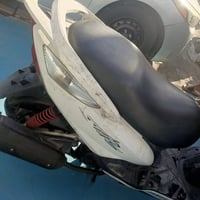 ثعلب جيتار تلث اشهر من امنزله من الرمبه أوراقه موجوده المكان الامين ال...