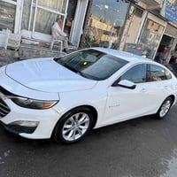 ماليبو • ٢٠١٩ • نجف