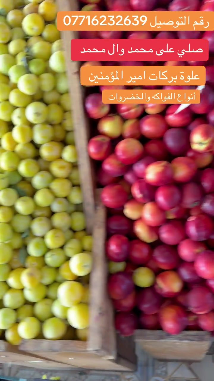 للطلب والحجز اتصال -وتساب فقط  ***********
علوة بركات امير المؤمنين.بسماية 
ارقى مخضر و #فواكه كلها تازه 😍❤️

اسعار بلاش✨✨

علوة بركات امير المؤمنين توصيل سريع مسواك شرط درجة اولى شرط شرط درجة اولى يوصل المسواك الباب الشقة ما عجبك رجعة بيد المندب 

طماطم عراقية درجة اولى 500

طماطم عراقية 500

صندوك طماطة 15. ك 5000

طماطم جدر  4ك 2000

بانية عراقية 2500

الوبية درجة اولى 2500

خيار عراقي  1000

خيار عراقي فول 🥒1000

اسود عراقي 🍆750

اسود عراقي 750

شجر عراقي 🫛1000

فلفل عراقي درجة أولى 1500
فلفل 🌶️ حار 2000

فلفل ألوان 🫑🌶️ لا يوجد 

بطاطا 🥔 عراقية 4 ك3000

علاكةبطاطة 

بطاطا 🥔 عراقية بيضة عرض4 ك3000
علاكة بطاطة 25 ك 
بصل  ابيض🧅1000

بصل 🧅 اصفر 3 ك2000

بصل احمر حار 1000

لاهنة بيضة  عراقية 750

لاهنة حمر ة 750

قرنبيط عراقي 1500

خس 🥬 عراقي 1000

جزر 🥕 تركي فول 1000

جزر 🥕  مصري 1000

فاصولية خضرة كيلو 2500

اسعار أنواع الفواكه شرط درجة اولى 

خوخ مسكي عسل 2000

خوخ 🍑 صوفي مصري 2000

خوخ 🍑 كعكي 2500 

تفاح ابيض عراقي 1500

مشمش مصري 3000

مشمش تركي 2500

الو احمر عراقي 2000

الو جوهرة صفرة 2500

موز درجة اولى 1500

عنب اسود عراقي 1500

عنب اسود تركي بدون نوة 3500

عنب ابيض بدون نوة 3500

 
برتقال  🍊 مصري1500

برتقال 🍊 يمني1500

برتقال 🍊 تركي "1500

تفاح احمر 🍎درجة اولى 1500

تفاح احمر 🍎 درجة اولى1500

تفاح اصفر 🍎 درجة  اولى 2000

 
تفاح 🍏 اخضر سكري3000

لانكي 🍊 مصري 200

لانكي 🍊تركي 2000

لانكي 🍊يمني2000

ليمون 🍋 اصفر مصري 3000

ليمون 🍋 اصفر 3000

ركي  عراقي أربيل عسل 750 

ركي  عراقي أربيل عسل 750 

بطيخ  عراقي 750 

كيوي 🥝 لا يوجود 

سعار التمور 

تمر برحي 2500

تمر خستاوي 1250

اسعار العلب

افطر علبة كبيرة 2000 دينار 

افطر وزن كيلو 5000

ثوم كيس 1000

ثوم عراقي خشن 4000

زنجبيل 🫚7000

ثوم عراقي 4000 كيلو 

ذرة 🌽 جاهزة 1000

طرشي شقل بيت كيس نص كيلو 1500

طرشي وزن مشكل كيلو 5000

طرشي خيار محشة كيلو 6000

طرشي مدبس كيلو 5000

خل ابيض دبل 1000

خل اسود دبل 1000

سلك باكة دبل  اسودي باكتين 1500
أ
خضرة مشكل 10 ب 1000

اسعار الحوم مجزة سمك مقطع 

دجاج محلي كيلو 3750 

صدر دجاج 6000

افخاذ دجاج 6000

سمك حي كيلو 6000

خبز درجة اولى 

اسعار الجملة 

علاكة بطاطة 

كيس بصل 20 كيلو 10 الف 

صندوك برتقال 15000

صندوك تفاح 10 الف 

اخوان علوة كلشي موجود بيهة 
سوبر ماركت 🛒 
خبز صمون 
دجاج سمك  

توصيل سريع خلال ساعة 
علوة كلشي متوفر بيهة 
سوبر ماركت 🛒 
دجاج مقطع 
سمك حي 
خبز
