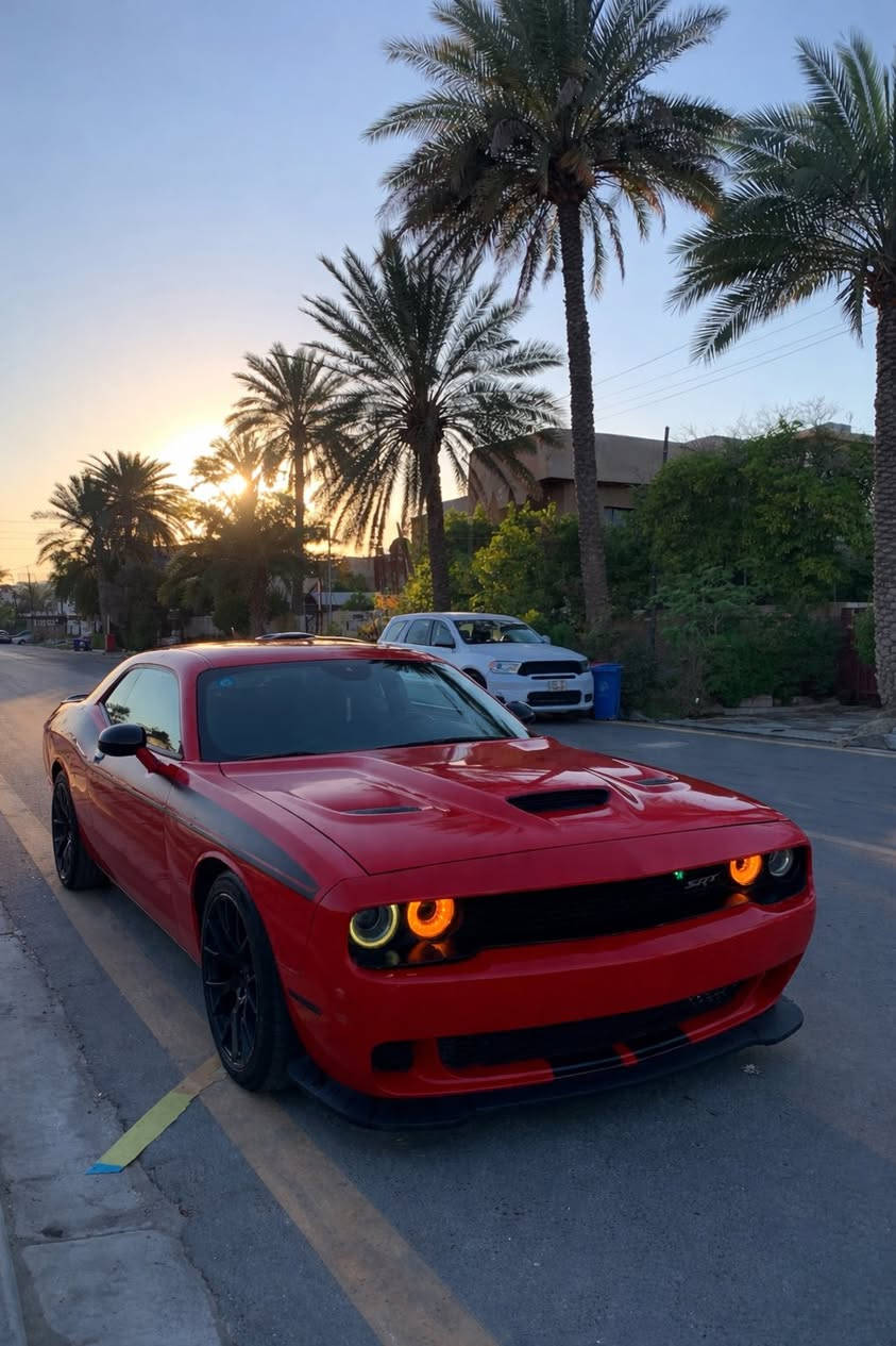 جالنجر 2016
بنيد Srt
دعاميه srt 
ويل srt 
فول بس فتحة مابيها
محرك 3600
شاشة كبيره تحكمات  نظام سبورت 
تبريد تدفئه كلها شغاله 
صدر جديد
تخم تاير جديد 
 رقم بغداد 
بيها قطع 5 قطع صبغ  سونار موجود 
مكاني بغداد العامريه   
ب ١٣٥ وبي مجال بسيط
*********** 
‭0788 287 0045‬
