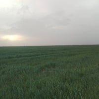 ٥٠ دونم • دلمج واسط • موجود ماء