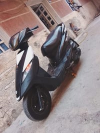 ماكس ثعلب للبيع  ب٥٠٠ مكاني البلديات 07742697890