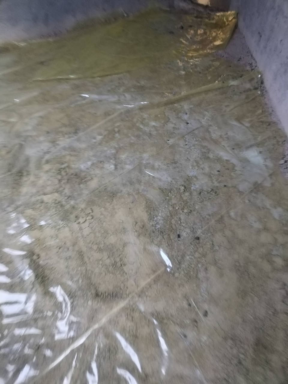 سلام عليكم اي شخص يحتاج خباطه صب كافات لأرضيات وتدخيل سبيس أو تطليع تراب وصب دنك بيتونه رباط رقم الهاتف *********** واتس اب موجود ***********
