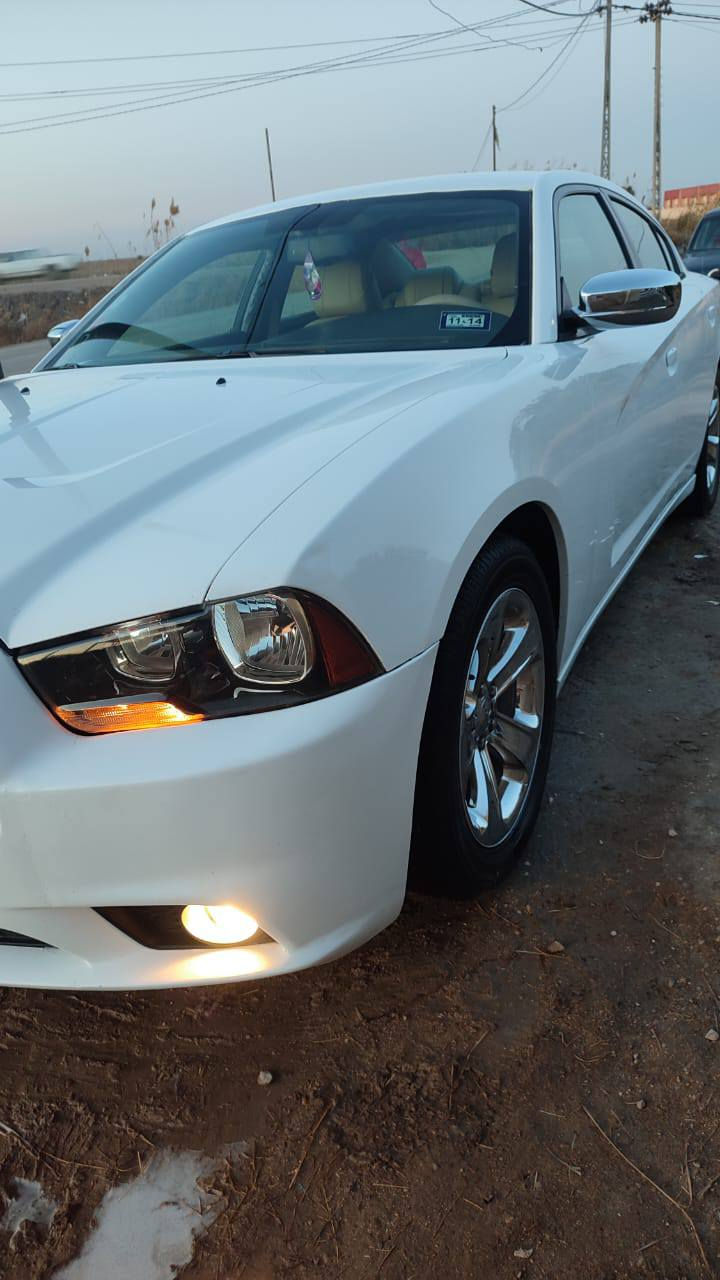 سلام عليكم 14اللبيع فول وارد امريكي الاستفسار اتصل ع الرقم *********** السعر 175وبيها مجال قليل
