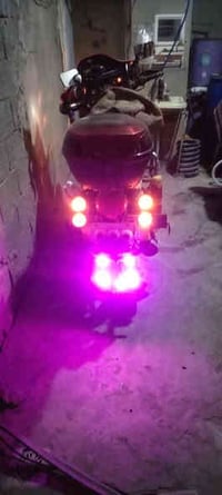 دايوان جبلي • موديل 19 • أوراق كاملة