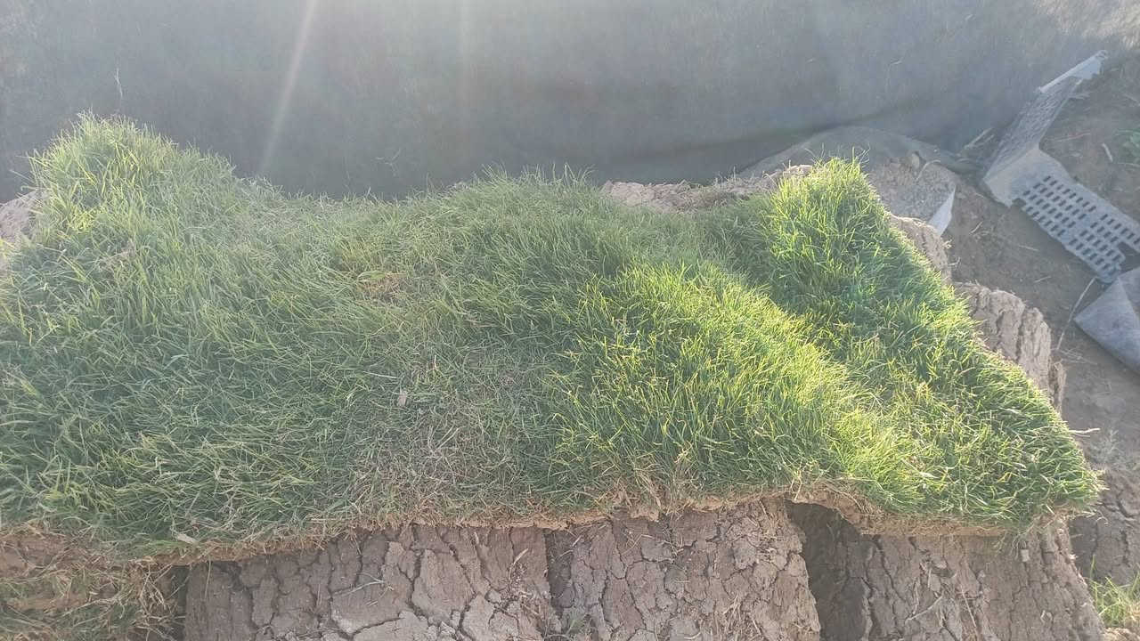 السلام عليكم متوفر ثيل كميات كبيرة والسعار مناسبه وجميع انواع الشتلات بسعر جمله العنوان الحمزه الشرقي بشبلاويات يم معمل السكر عمود 272 متواجدين من ل7صباحا له 5ونص عصرا


**إذا كنت صاحب هذا الإعلان وتريد حذفه لأي سبب، رجاءا أرسل رسالة إلى الدعم الفني**