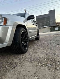 تخم تاير ويل • حجم 20 • مراوس جبلي