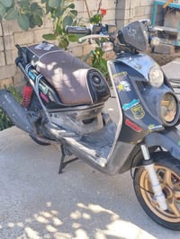 سكنس جبلي • موديل ١٣ • نوزل
