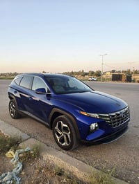 توسان • ٢٠٢٤ • ضرر واضح