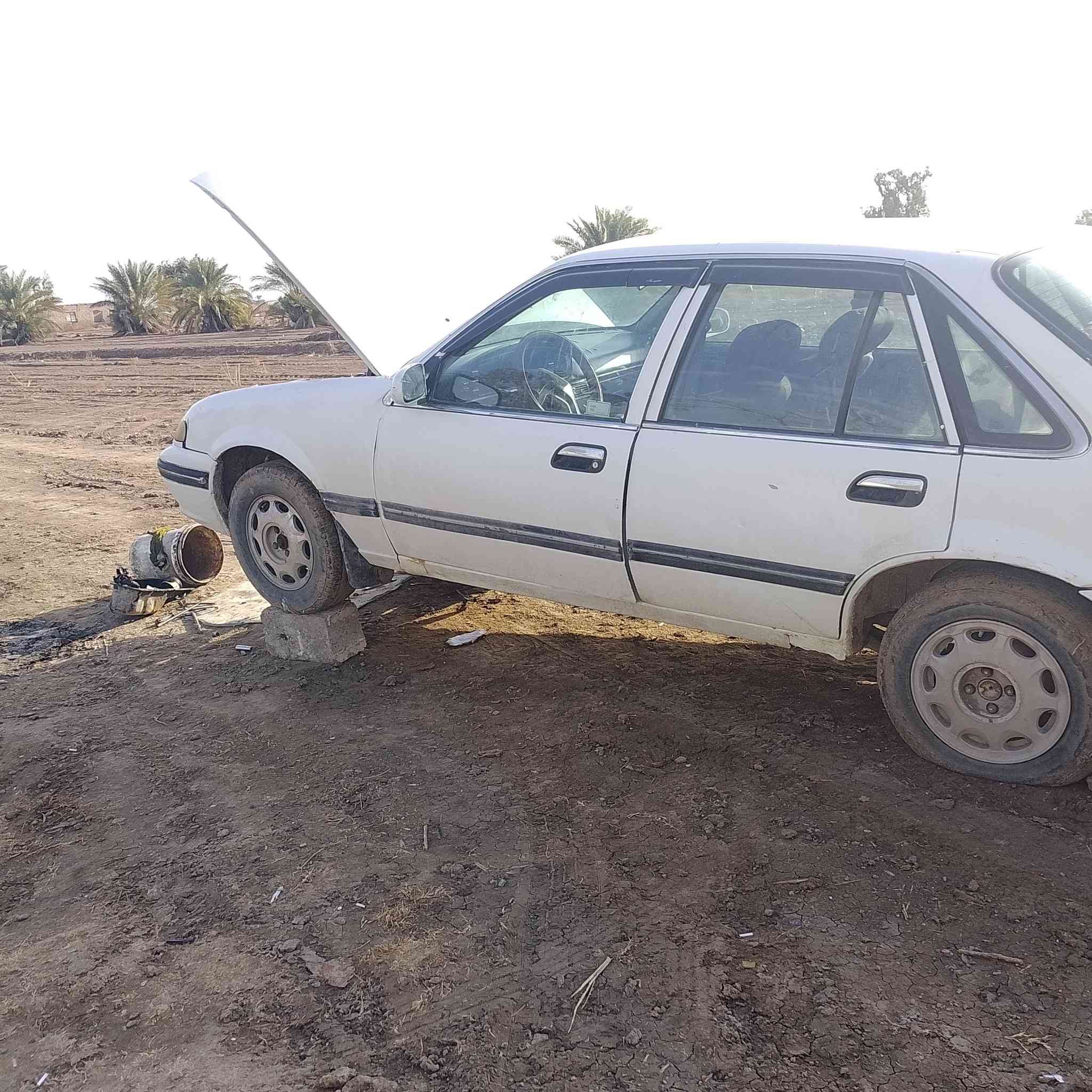 سلام عليكم برنس مودي 2وتسعين فره يطق سعر 28 #***********مكني اليوسفيه شرع الرابع
