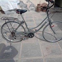 باسكل • لون زيتوني • الديوانية الشامية