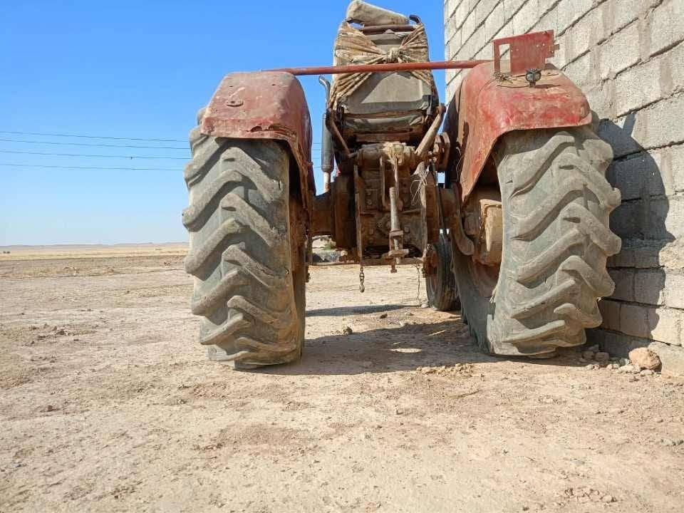 عنتر للبيع  الستفسار التواصل عل رقم  ***********رجاهن الي مو شراي لا يتصل قير متواجد عل فيس بوك ما ارد عل رسايل خابرو عل رقم
