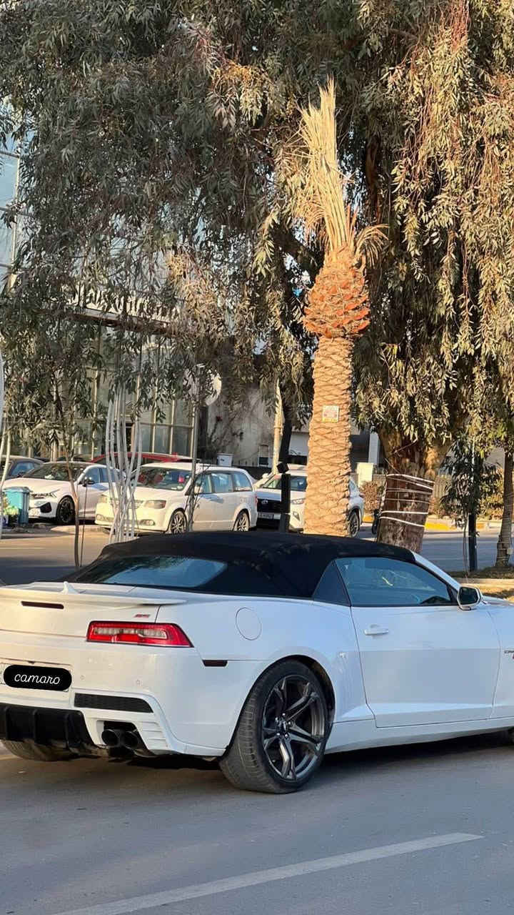 سلام عليكم كمارو( 2ss ) (كير عادي) وارد كندي وطابه للعراق من السعوديه و كل تفاصيلهه خليجي من وكالة السعوديه
2015 لسياره فول لفول
1- داتا شو بلجامه
2-كشنات كهرباء
4- كشنات جلد
5 - هيتر كشنات
6-شاشه ماي لنك كاميرا
7- مكينه 53| تجي مو 199
8- كزوزات 4 مو 2
9-كيج 300
10- ماشيه حدود 100 الف كيلو
11-كيجات يم لكير
11- رقم نهايتهه 3 مراتب متكرره
لسياره فول للاخير معروف ل255 لسياره نضيفه ونصبتهه
كلش حلوه
ملاحضة السياره بيهه صبغ قطعتين جاملغ خلفي و جاملغ امامي كم ملاحظه للاستفسار و باقي التفاصيل من تتصل سعرهه مناسب للاتصال
مكانهه بغداد اليرموك ***********
مكان السياره يرموك بغداد, العراق
