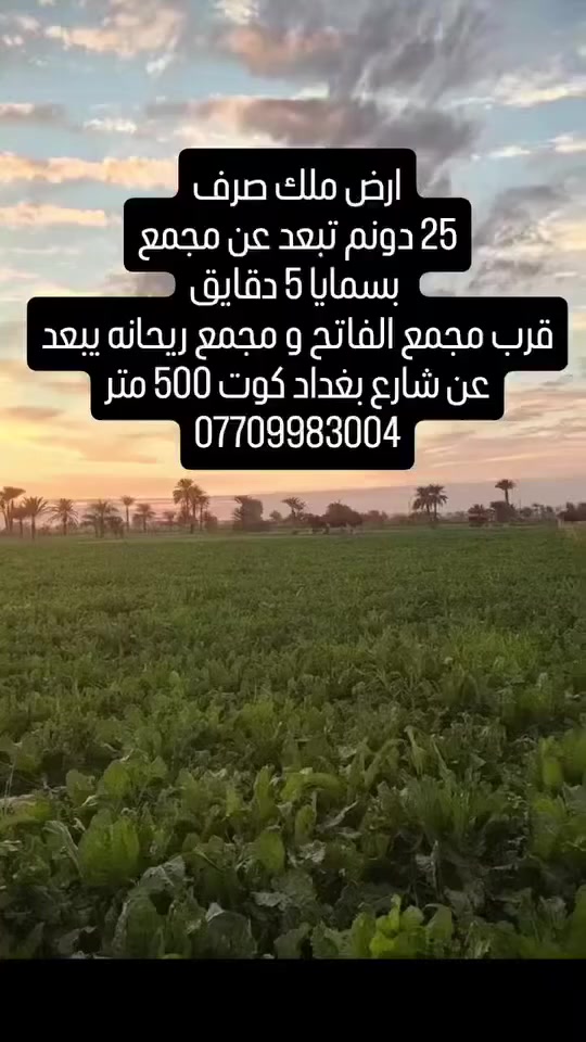 يا الله


**إذا كنت صاحب هذا الإعلان وتريد حذفه لأي سبب، رجاءا أرسل رسالة إلى الدعم الفني**