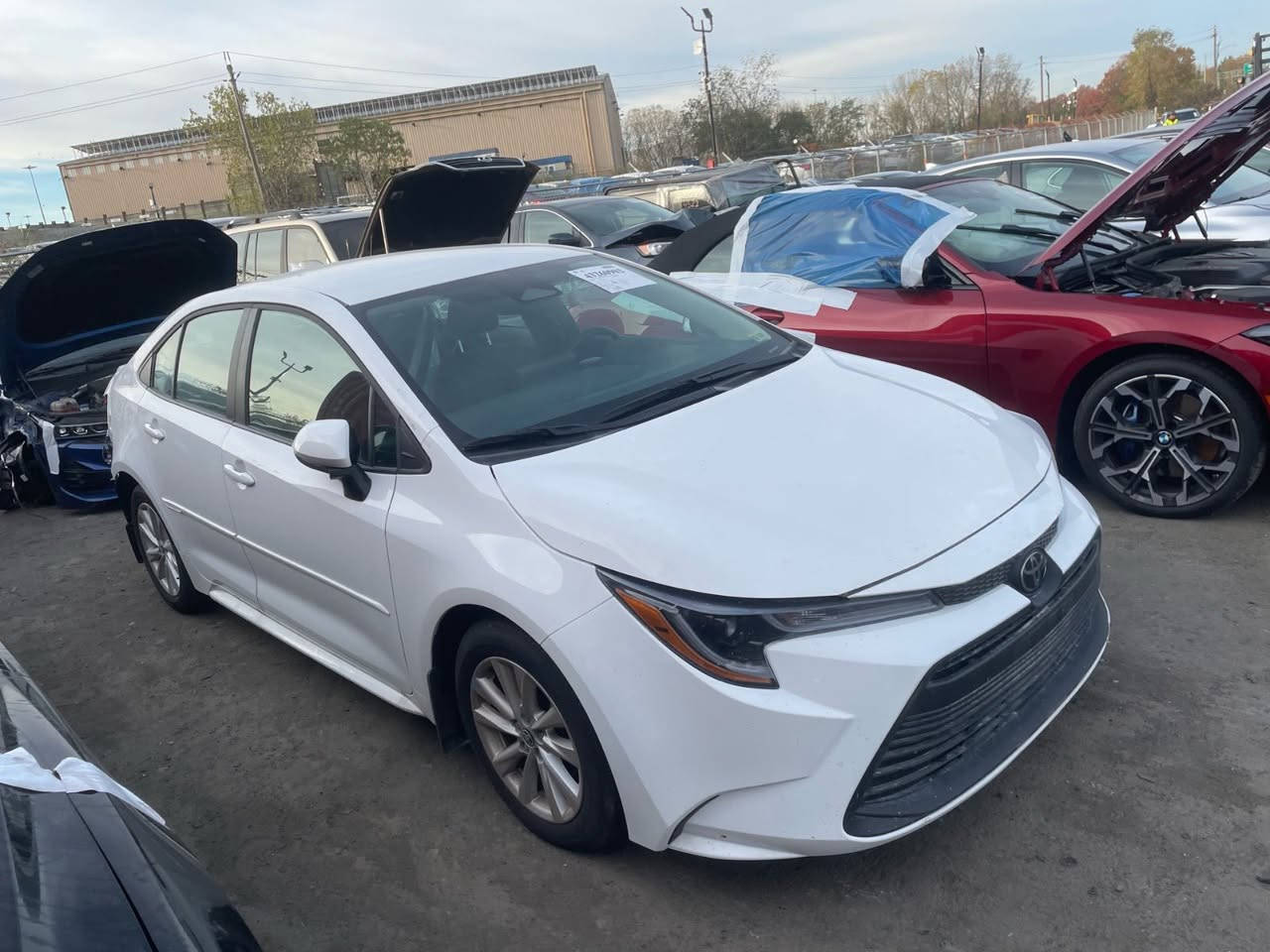 كورلا 2025 وارد امريكي بانزين فقط مكينه 2000 كفاله عامه من الزلغ ما عدا البارد المئشر عليه بالجنطه ماشيه 8 الف سياره بصمه سايد بريك دكمه رادار امامي او جانبي قياده اليه ترايش  بالبيبان ويل كب سياره كارتون كتاب فحص بيها كفاله عامه السياره بدون رقم بسمي تريد مرقم تريد بدون رقم *********** مكاني ناصريه للعلم غراضها الدعاميه ولاليتات اجن وياها اي تبديل مابيها
