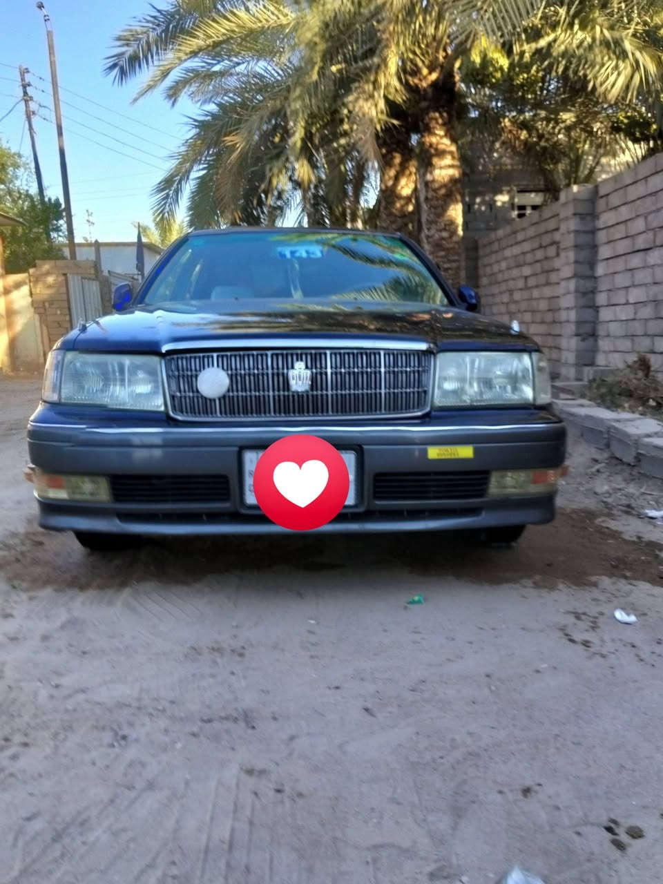 سلام عليكم راس ثور للبيع تفاصيل عل رقم 📱 *********** مكاني بصره قضاء الصادق بني منصور
