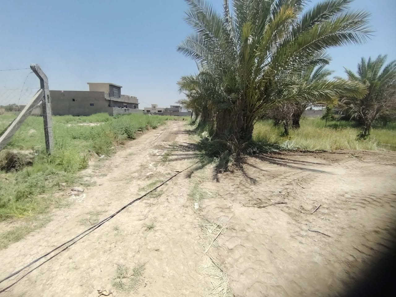 السلام عليكم
قطعه ارض زراعيه قرار ١١٧مساحه 105الوجه 7ونزال 15متفونه وكامله السعر 15وبيهه مجال بسيط مستعجلين ع بيعتها للاستفسار ***********
المكان البانروما جهة المدارس بصفحة البوجامل
