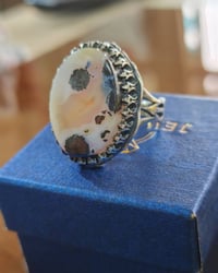 داوودي اليمن • الأصيل • تخفيضات رمضان