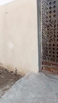 زراعي • ٢٠٠م • الزبير