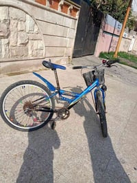 بيسكل اصلي • حجم ٢٤ • ٧ نمر