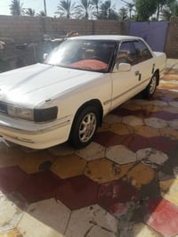 شيزر مارك • رقم قادسية • حدادية حلوة