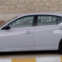 التيما • ٢٠٢٤ • ضرر