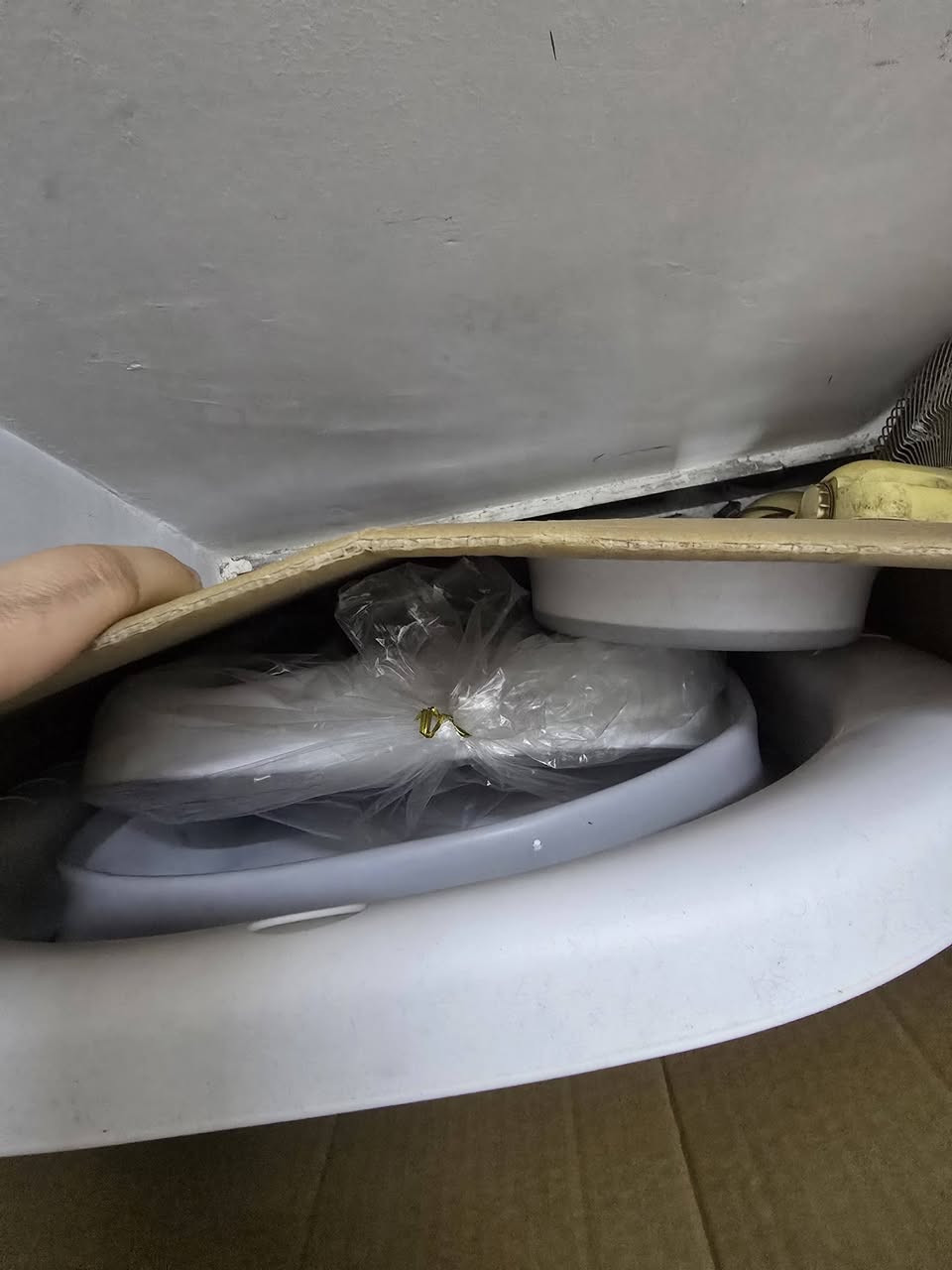 للبيع وعندي بعد كرسي متحرك مكاني بغداد


**إذا كنت صاحب هذا الإعلان وتريد حذفه لأي سبب، رجاءا أرسل رسالة إلى الدعم الفني**