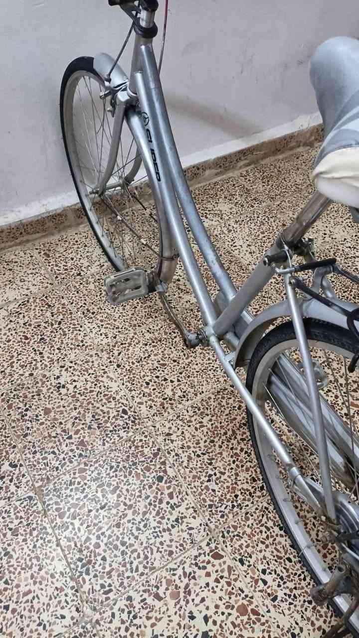 سلام عليكم الموشراي يصلي ع نبي ويعبر المنشور 🌹بايسكل حجم 26 ياباني شرط فول نضافه شرط زوج تايرات جوابه بريكات كامل شرط برغي نقص مابي وانضف واحلى منل صور مكاني تكريت القادسيه سعر 60 وبي مجال بسيط


**إذا كنت صاحب هذا الإعلان وتريد حذفه لأي سبب، رجاءا أرسل رسالة إلى الدعم الفني**