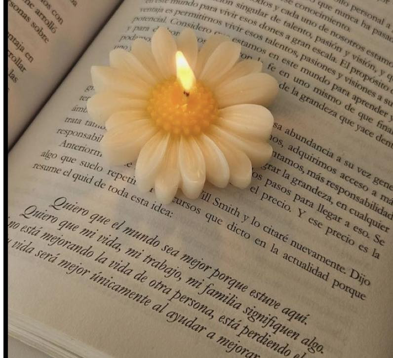 عروض لفتره محدده سعر القطعه الفين ونص مع التغليف


**إذا كنت صاحب هذا الإعلان وتريد حذفه لأي سبب، رجاءا أرسل رسالة إلى الدعم الفني**