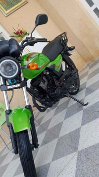 شاينك • ٢٠٢٦ • سكنر