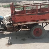 انتيار • شاصيه مجور • عاوزه صبغه