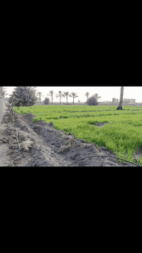 دونم واحد طابو زراعي سند 25 للبيع
***********

واصلها خط ماء اساله وكهرباء وبيها بير ماء حلو
مجاور مدرسه ابتدائي ومتوسطه 
سعر الدونم 50 مليون
تحويل مباشر
بغداد طريق ذراع دجله منطقة الطجاج والمصالحة مجاور سبع البور
التحويل على طابو ابو غريب 

اللوكيشن 
https://maps.app.goo.gl/kEVziCQ53ZMumDvP9

====================
كاع ثانيه بنفس المنطقه \ المصالحة والطجاج
دونم واحد طابو
واصله كهرباء و على شارع رئيسي مقابيلها خط اروائي
سعر الدونم 30 مليون

اللوكيشن
https://maps.app.goo.gl/9B8RiJs47wXtFXFA7
