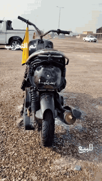 بلاد 49 • شغال • بصرة هارثه