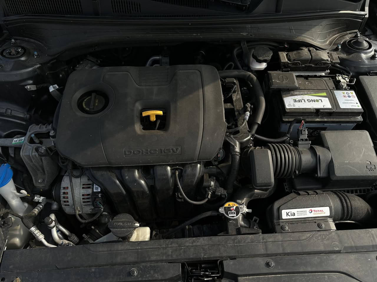 ا كيا فورتي 2023
دخول جديد
مكينه 2000 دوش المرغوب
ويل كب
شاشه وكاميرا وشاشة عطلات كبيره 
رادارات وتحديد مسار قياده ذاتيه
مرايه كهرباء وبوصله 
الضرر قطعه وحده بدون دواخل بدون ايرباكات 
السياره كاتي فحص وهزه كامل بس تروح تشد لوحات 
السعر 141 مجال بسيط 
ملاحضه حجر بيئه رادار كله شرط 
***********
