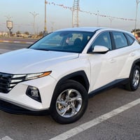 توسان • ٢٠٢٣ • وارد امريكي