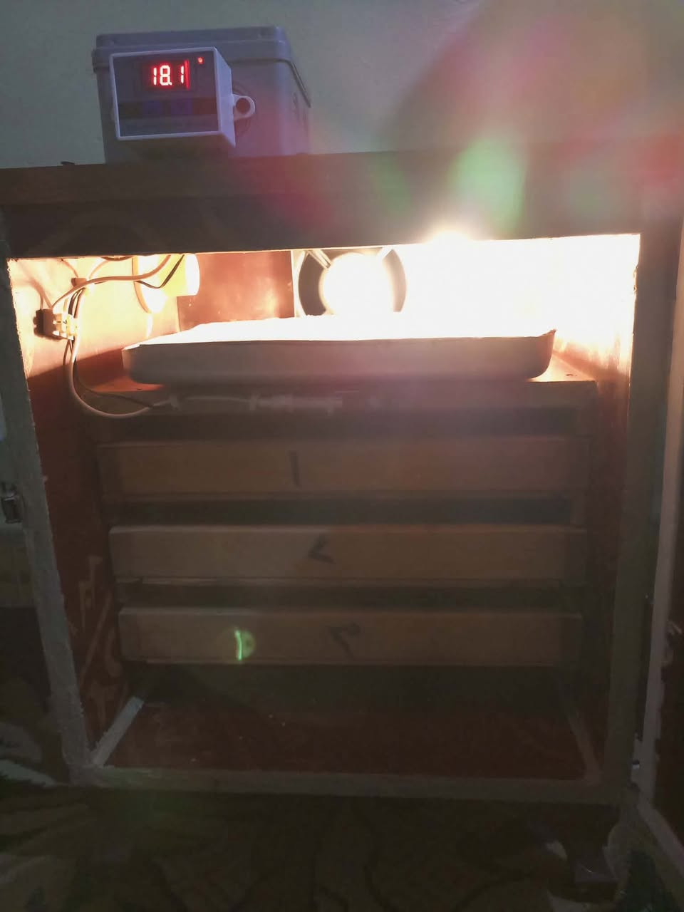 السلام عليكم.
فقاسة للبيع . 
نظافة ممتازة 
كهربائية. 
رطوبة وحرارة اوتماتيك 
تقليب يدوي 
سعة الفقاسة 80 بيضة تقريباً. 
بس مناسب . 
اتصل وتدلل 
للاتصال .
***********
