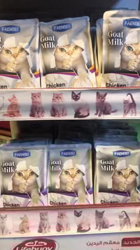 مغلفات قطط • مهروس • مجمع القادسيه