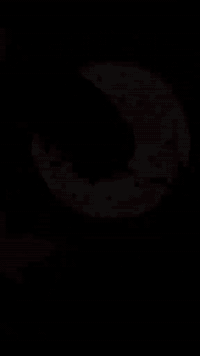 سلام عليكم خلفه نراكيل شغلي مضبوط سكني بغداد ال شعب رقمي***********
