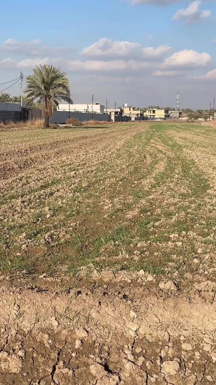 سلام عليكم نص دونم طابو زراعي سند 25 للبيع العنوان المدائن منطقة الجعارة تحويل بل طابو فتح بيان الاستفسار *********** ركن عل 3 شوارع
