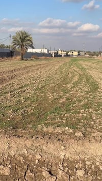 نص دونم • طابو زراعي • الجعارة المدائن