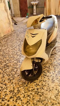 فحل بلادي • مكفوله • مدينه الصدر