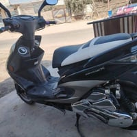 سكنس • ياباني • كفاله