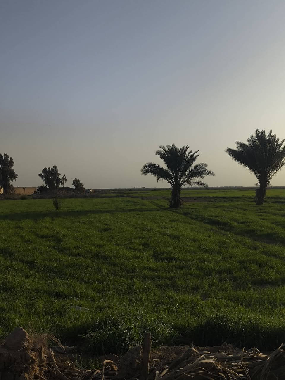 سلام عليكم كاع شروة للبيع 30دونم حنطة مكان رفاعي طريق أبو لماش ***********
