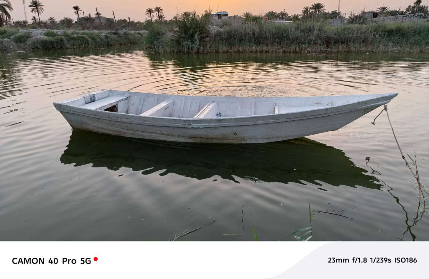 سلام عليكم كاتوره للبيع بدون المكينه 650وبي مجال كاتوره نضيفه  *********** هاذرقمي
