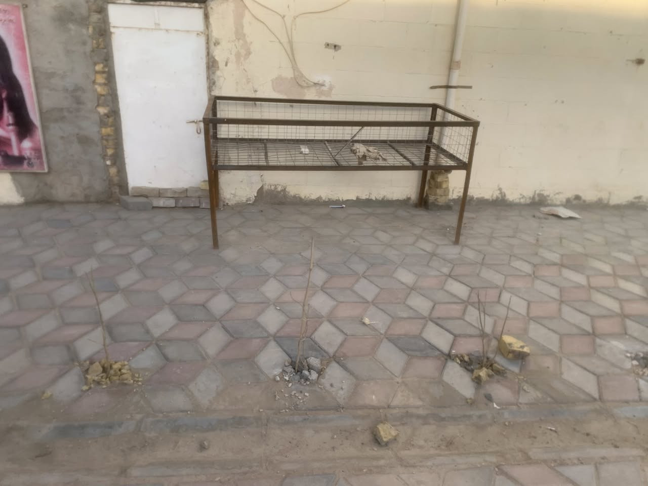 سلام عليكم غراض محل دجاج لبيع.   هلاسه جبيره جديده ستعمل قليل. قفص جديد. سنكي. وقفص دجاج بلستك واحد. كلهن  سوه بيع.  رجان لاحد يكسر بسعرهن. ريدهن كلهن 300 غراض بيهن مجال شي بيسط لشراي


**إذا كنت صاحب هذا الإعلان وتريد حذفه لأي سبب، رجاءا أرسل رسالة إلى الدعم الفني**