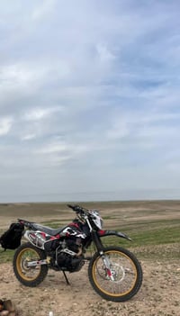 قفاز كويارا • ٢٠٢٥ • ٢٥٠ سي سي