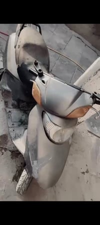 سبيسي ياباني • طافية • انوار الصدر