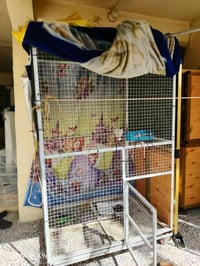 قفص حديد • نجف • قابل تفاوض