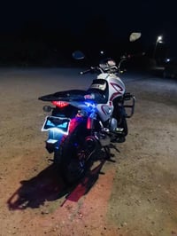 شباب سنكي • مديل 2023 • أوراق كاملة